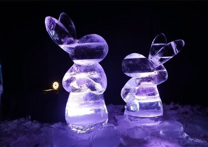 590375778_1349329350474433_7104322326159495533_n