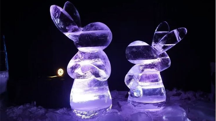 590375778_1349329350474433_7104322326159495533_n