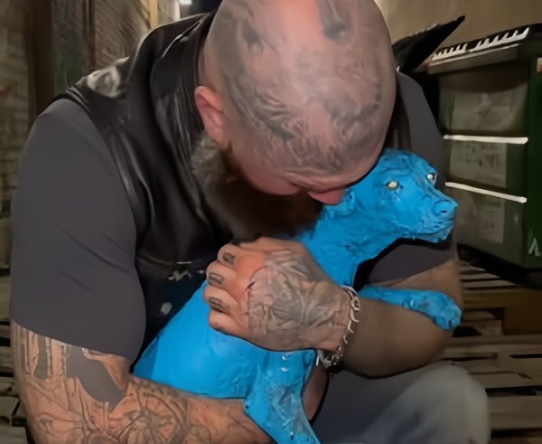 592532367_730533220088853_5896729032289027290_n