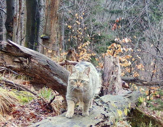 595595097_1423631893097900_66665960588275310_n