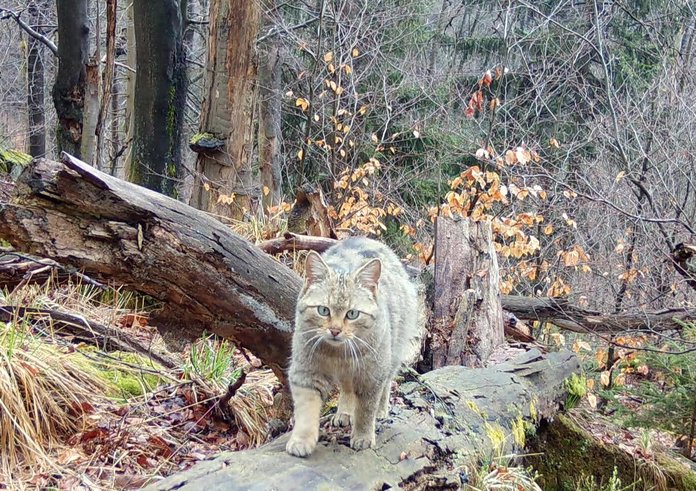 595595097_1423631893097900_66665960588275310_n