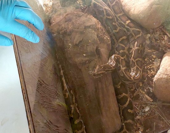 611623793_1293689306134408_4713295256361008690_n