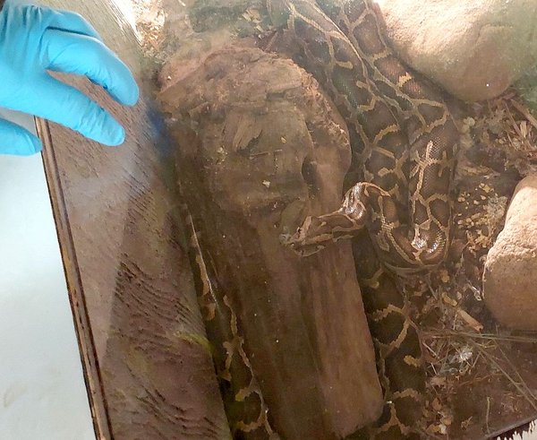 611623793_1293689306134408_4713295256361008690_n