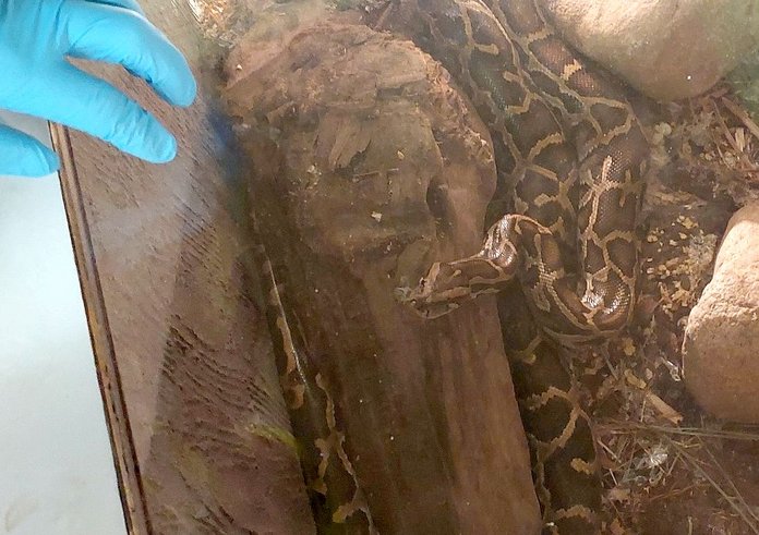 611623793_1293689306134408_4713295256361008690_n