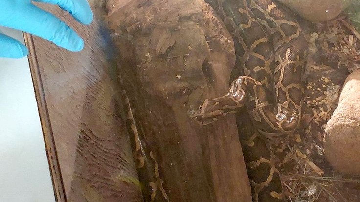 611623793_1293689306134408_4713295256361008690_n