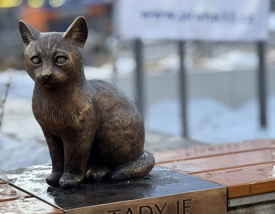 616119571_4474699979427170_2888168099114814418_n