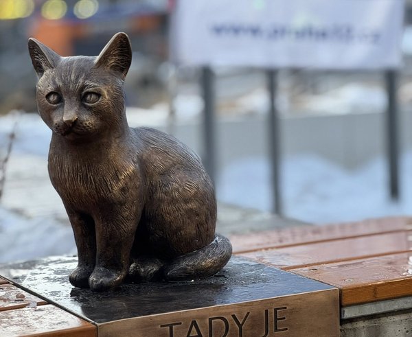 616119571_4474699979427170_2888168099114814418_n