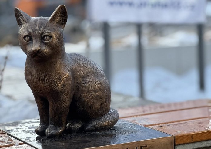 616119571_4474699979427170_2888168099114814418_n