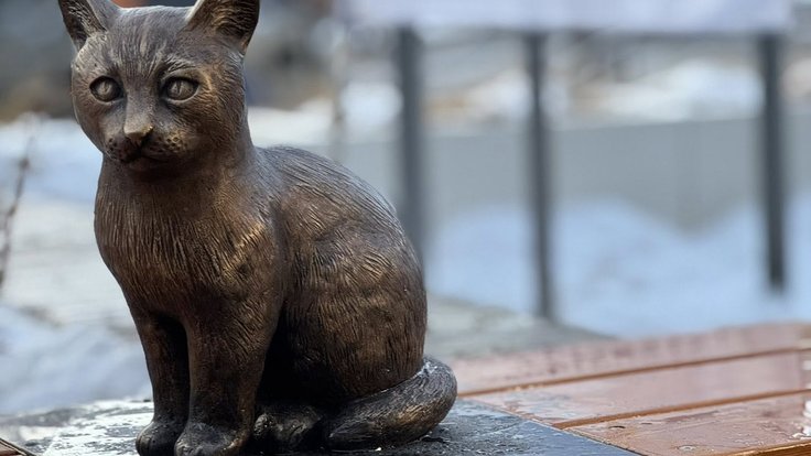 616119571_4474699979427170_2888168099114814418_n