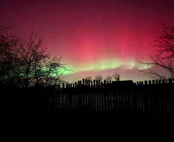 616498539_2463656767421874_7540498520608779133_n