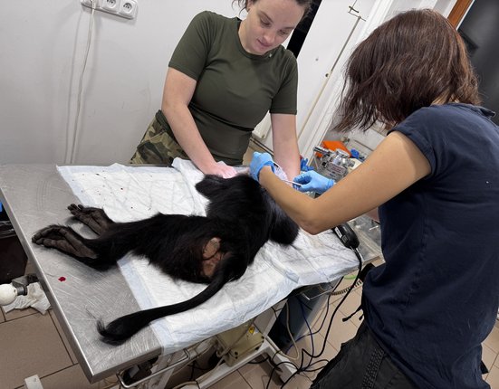 616588296_1312039577621107_2297239289464928669_n