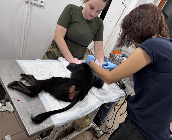 616588296_1312039577621107_2297239289464928669_n