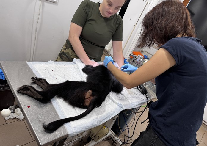 616588296_1312039577621107_2297239289464928669_n