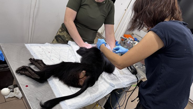 616588296_1312039577621107_2297239289464928669_n