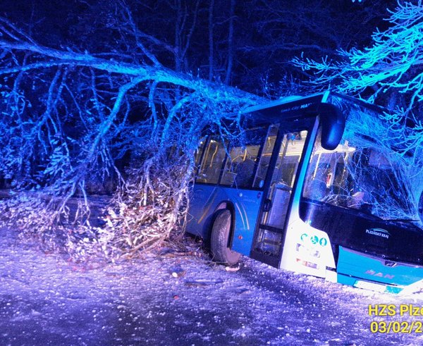 627140757_10230162115027109_4286405884660752978_n