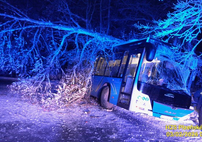 627140757_10230162115027109_4286405884660752978_n