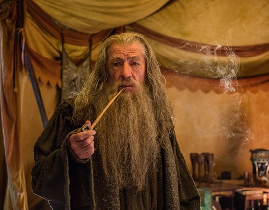 Ian McKellan jako Gandalf ve filmu Pán prstenů: Společenstvo Prstenu