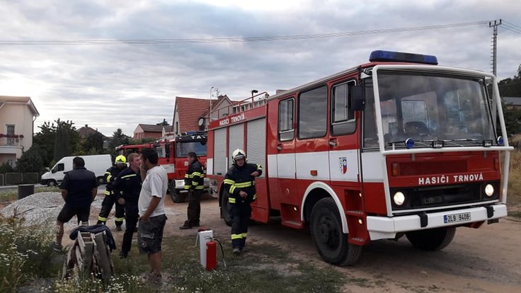 66284033_1295564313938990_1693451642843693056_n