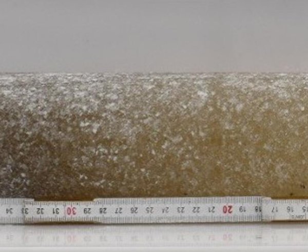 6 million year old ice crop