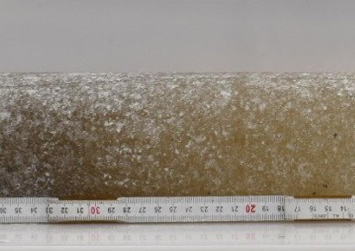 6 million year old ice crop