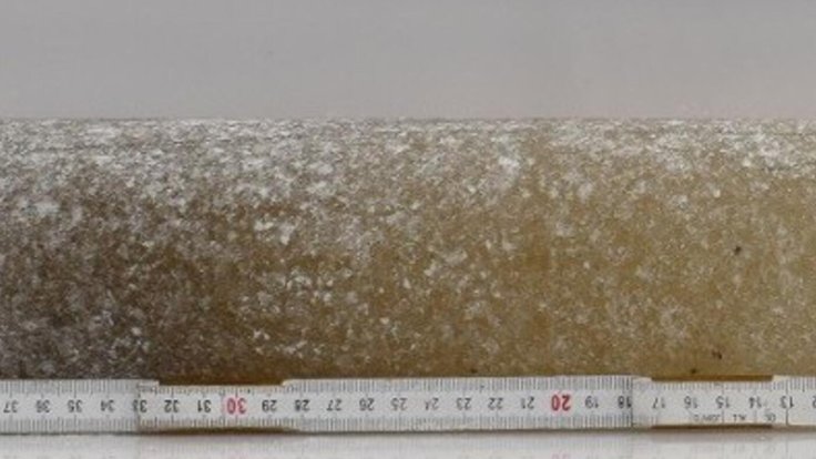 6 million year old ice crop