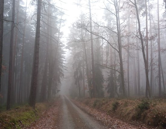 70673eac-cfec-4b16-9fb4-b840254beca2