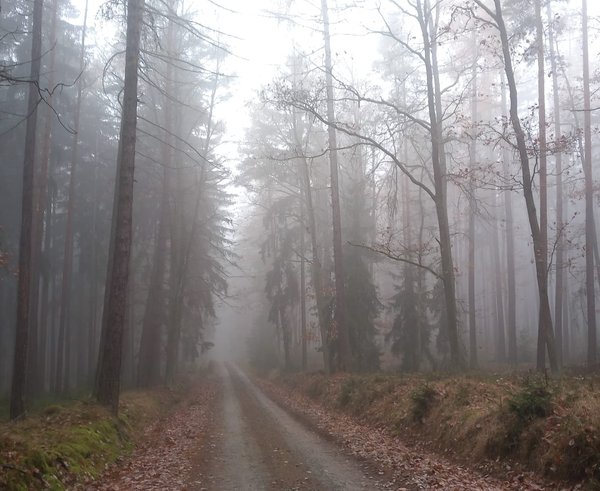 70673eac-cfec-4b16-9fb4-b840254beca2