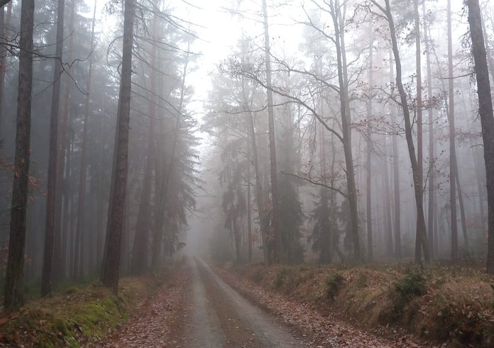 70673eac-cfec-4b16-9fb4-b840254beca2