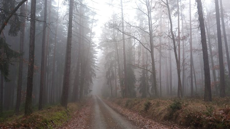 70673eac-cfec-4b16-9fb4-b840254beca2