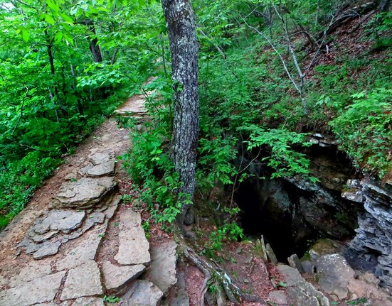 Devil's Den State Park