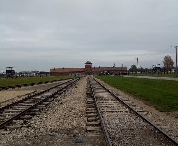 73129551_3395111780500816_4107641790578819072_n