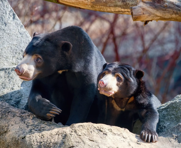 7de1d5bb-b02e-4d02-a464-38647e922b31