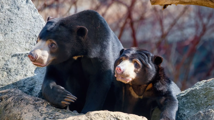 7de1d5bb-b02e-4d02-a464-38647e922b31