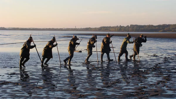 89edd132-b01d-4213-8408-c5635c8d2471