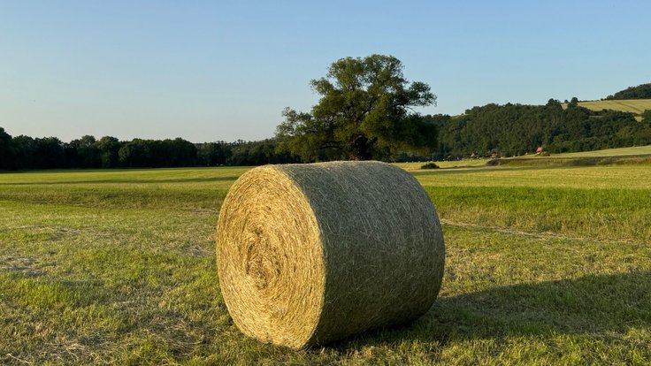slunečné počasí