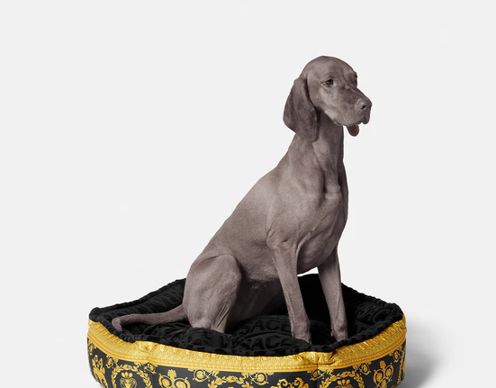 90_ZDOGCUD80-ZCOSP052_Z4800_22_IBaroquePetBed-For~your~Pet-Versace-online-store_2_2