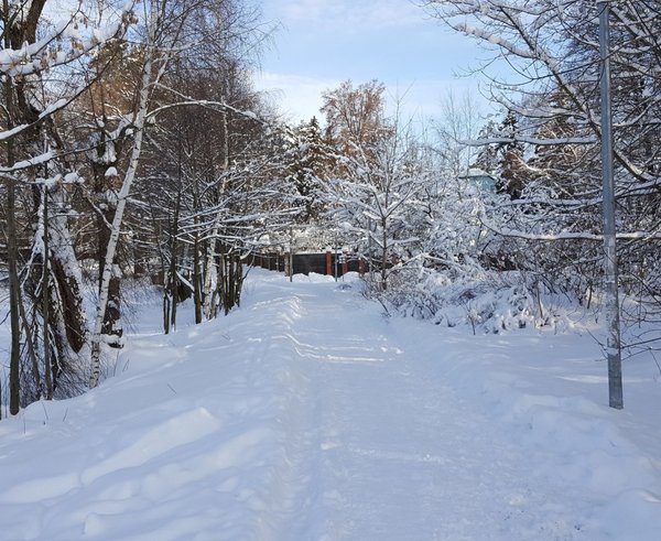 95d9337caa3d2691b7f232b13384-1635498