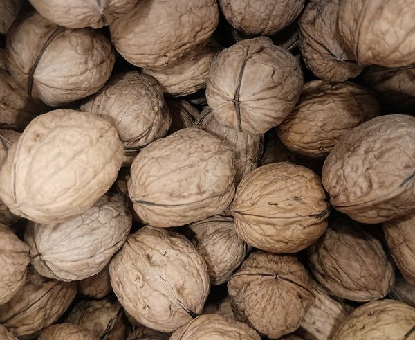 AMERICAN_WHOLE_WALNUT