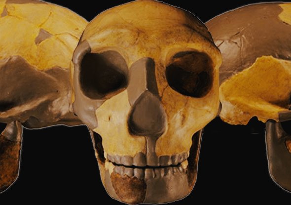 Starodávná lebka objevená v Číně