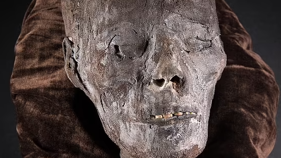 70431451-12033153-Peculiar_A_rare_2_800_year_old_mummified_Egyptian_head_which_was-a-454_1682940422919