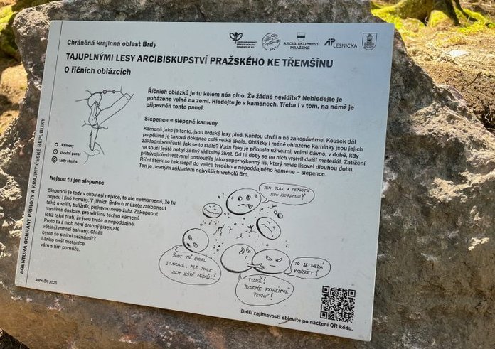 Foto z nové stezky v Brdech