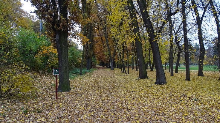 Bubeneč,_Stromovka,_stezka_pro_jezdce_na_koních