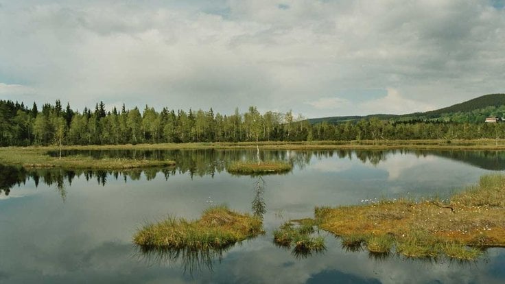 šumava