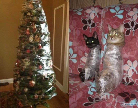 Christmas-tree-saran-wrap-cats-cat-plastic.jpg