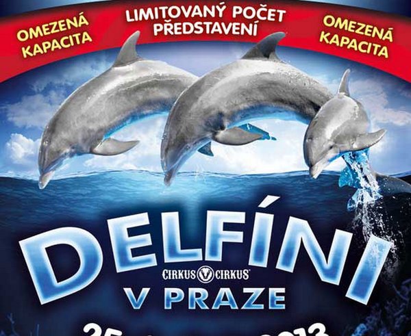 DELFINI-pl.jpg