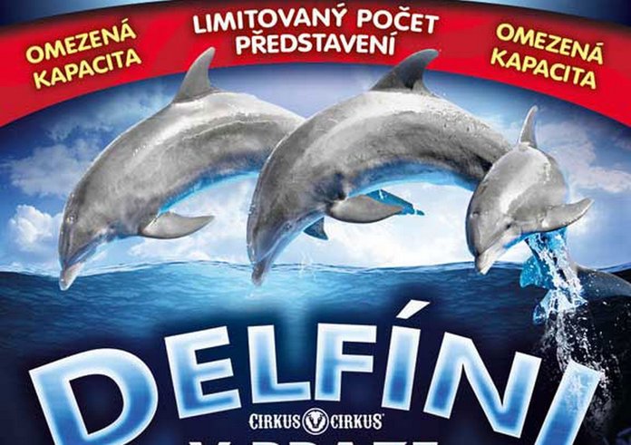 DELFINI-pl.jpg
