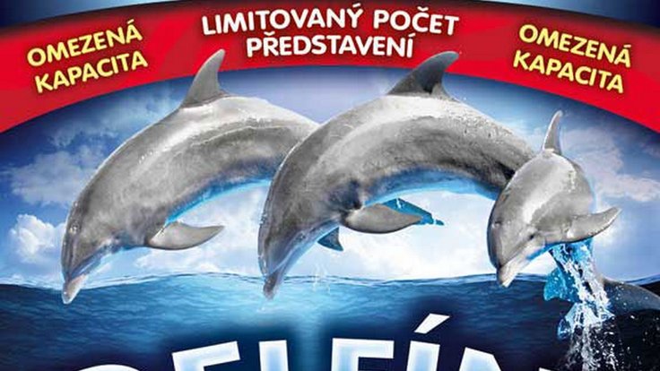 DELFINI-pl.jpg