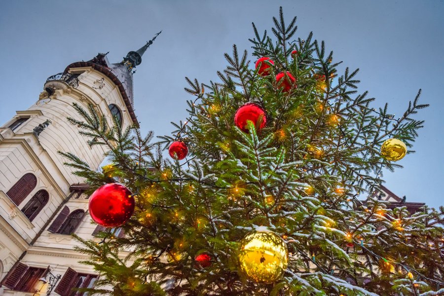 Vánoce v Zoo Zlín.