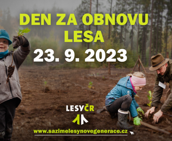 Den za obnovu lesa