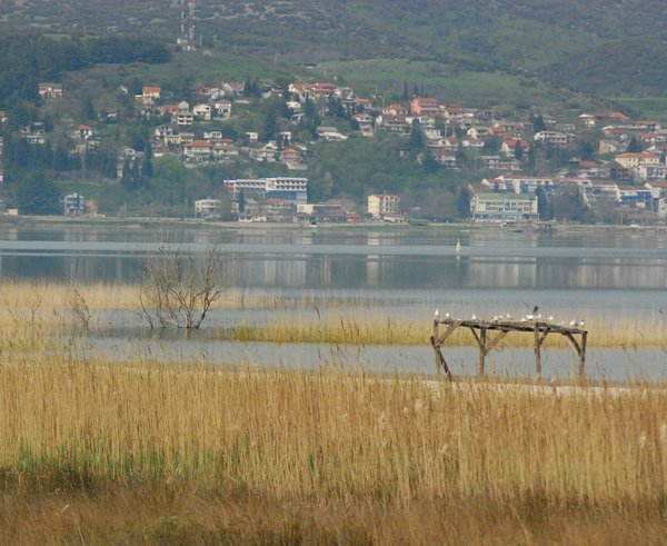 Jezero Doiran, které tvoří hranici mezi Řeckem a Severní Makedonií.